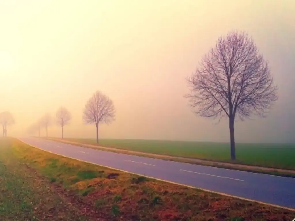 Ruhige Landschaft in der Morgendämmerung